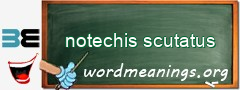 WordMeaning blackboard for notechis scutatus